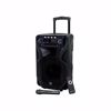 Fotografija izdelka MANTA SPK5021 PRO FONOS prenosni KARAOKE zvočnik, Bluetooth 5.0, 8.000W P.M.P.O., TWS, Equalizer, polnilna baterija, FM Radio, USB / microSD / AUX / MIC-in, črn