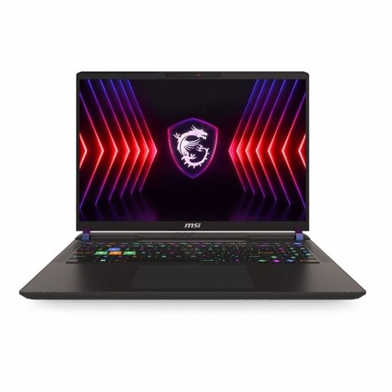 Fotografija izdelka Prenosnik MSI Vector 16 HX A14VFG i9-14900HX / 32GB / RTX 4060 / 1TB SSD / 16" QHD+ / Windows 11 Pro (siv)
