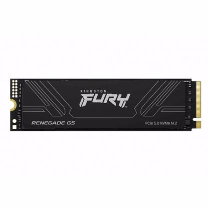 Fotografija izdelka KINGSTON Fury Renegade G5 1TB M.2 2280 PCIe NVMe (SFYR2S/1T0) SSD