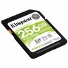 Fotografija izdelka KINGSTON Canvas Select Plus SD 256GB Class 10 UHS-I (SDS2/256GB) spominska kartica