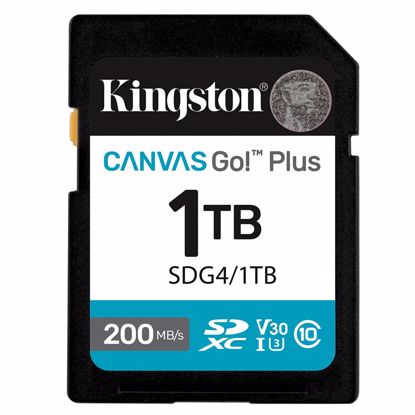 Fotografija izdelka KINGSTON Canvas Go! Plus SD 1TB Class 10 UHS-I U3 V30 (SDG4/1TB) spominska kartica