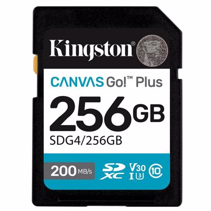 Fotografija izdelka KINGSTON Canvas Go! Plus SD 256GB Class 10 UHS-I U3 V30 (SDG4/256GB) spominska kartica