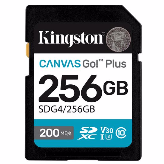 Fotografija izdelka KINGSTON Canvas Go! Plus SD 256GB Class 10 UHS-I U3 V30 (SDG4/256GB) spominska kartica